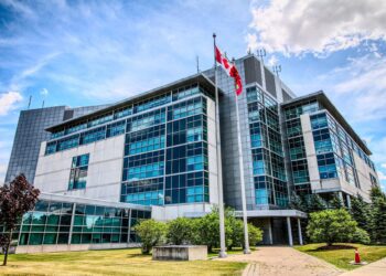Exploring Work Opportunities and Immigration Conditions in Canada