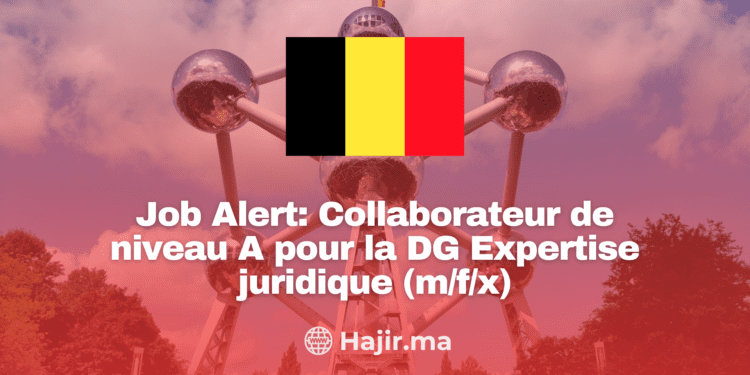 Job Alert: Collaborateur de niveau A pour la DG Expertise juridique (m/f/x)