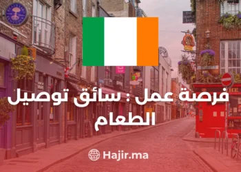 Food Delivery Driver: A Flexible Job Opportunity Ireland