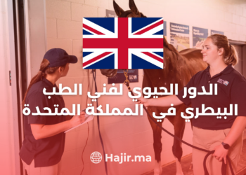 The Vital Role of a Veterinary Technician in United Kingdom