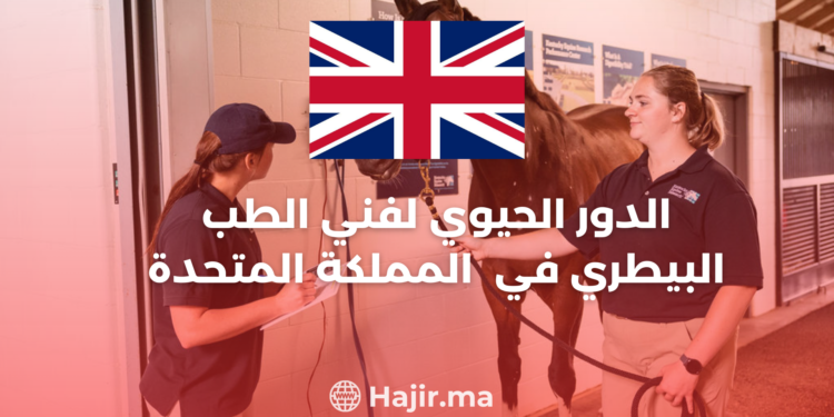 The Vital Role of a Veterinary Technician in United Kingdom