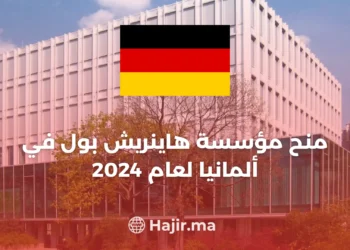 Heinrich Boll Foundation Scholarships 2024 in Germany Fully Funded
