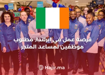 Store Assistant Job at Aldi in Ireland 2024