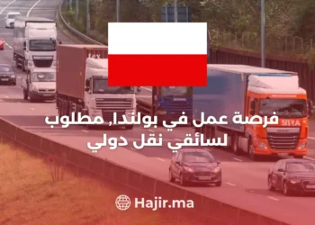 Job Opportunity: Cat-C International Transport Driver in Poland