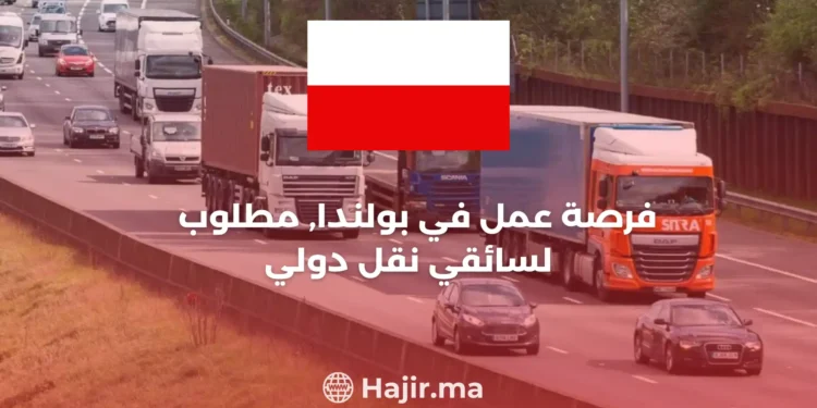 Job Opportunity: Cat-C International Transport Driver in Poland