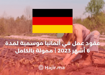 Understanding Seasonal Work Contracts in Germany for 6 Months in 2023 | Fully Funded Opportunities