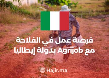 Job Opportunity in Italy: Exploring Agrijob For Agriculture Workers