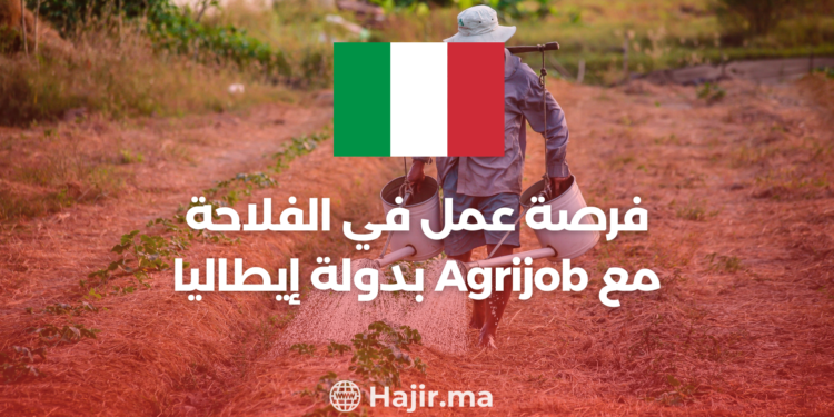 Job Opportunity in Italy: Exploring Agrijob For Agriculture Workers