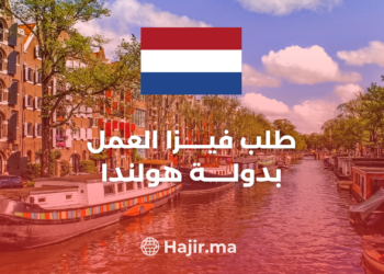 Navigating the Dutch Work Visa Process in 2023: All You Need to Know