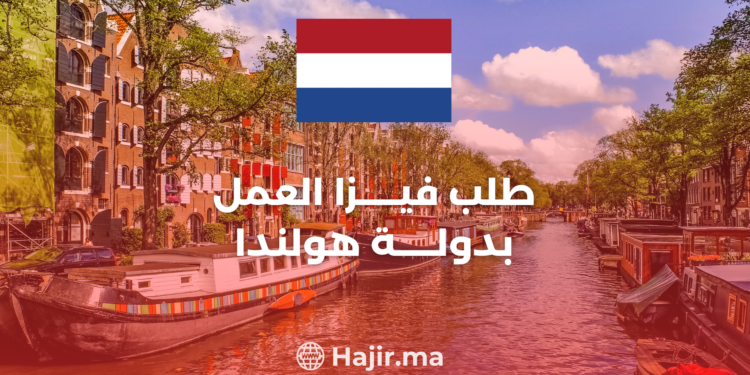 Navigating the Dutch Work Visa Process in 2023: All You Need to Know