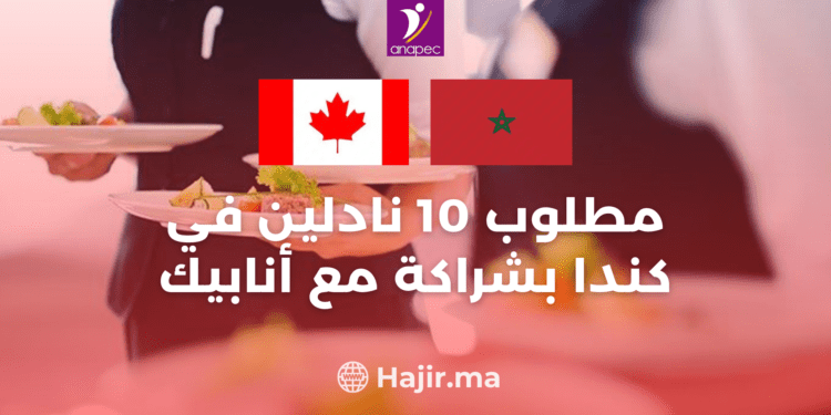 Anapec Skills: Recruitment of 10 Servers in Canada