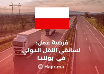 Job Opportunities for International Transport Drivers in Poland: Navigating the World of Silesian Transport