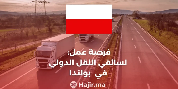 Job Opportunities for International Transport Drivers in Poland: Navigating the World of Silesian Transport