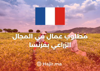 Job Opportunity Agricultural Worker in France 2024/25