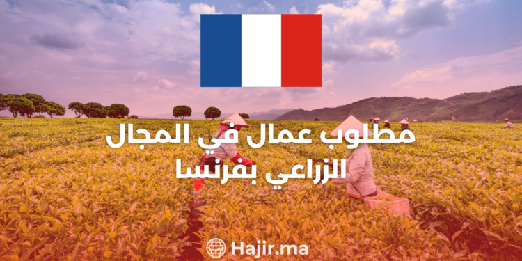 Job Opportunity Agricultural Worker in France 2024/25