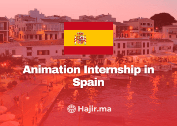 Job Offer: Animation Internship in Spain