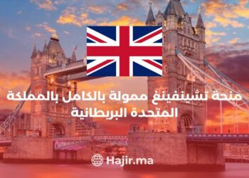 Chevening Scholarship 2024 | Application Process in the UK (Fully Funded)