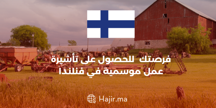 Discover seasonal job opportunities in Finland