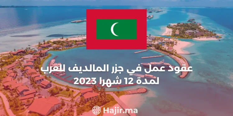 Guest Experience Maker (Arabic Speaker) – Hilton Maldives Amingiri Resort & Spa