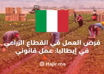 Job Opportunities in the Agricultural Sector: How to Find Legal Work in Italy