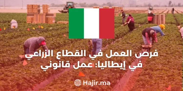Job Opportunities in the Agricultural Sector: How to Find Legal Work in Italy