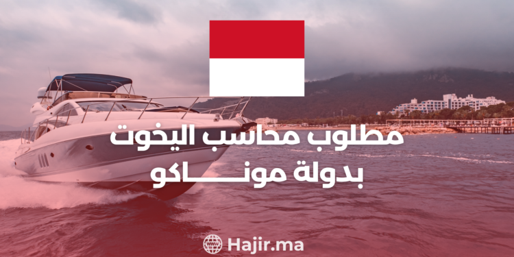 Job Offer in Monaco: A 14-Month Contract with a Generous Euro Salary