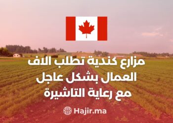Canadian Farms Urgently Request Thousands of Workers! With Visa Sponsorship