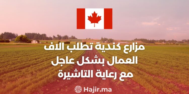 Canadian Farms Urgently Request Thousands of Workers! With Visa Sponsorship