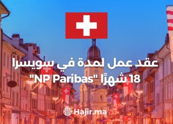 Employment Contract for 18 Months in Switzerland “NP Paribas”