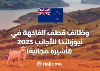 Fruit Picking Jobs in New Zealand for Foreigners 2023 (FREE VISA )