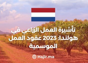 Netherlands Farm Work Visa: 2023 Seasonal Work Contracts