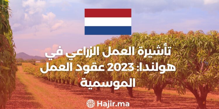 Netherlands Farm Work Visa: 2023 Seasonal Work Contracts