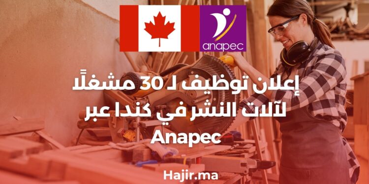 Annonce D’embauche Pour 30 Opérateurs de Machines à Scier au Canada via Anapec