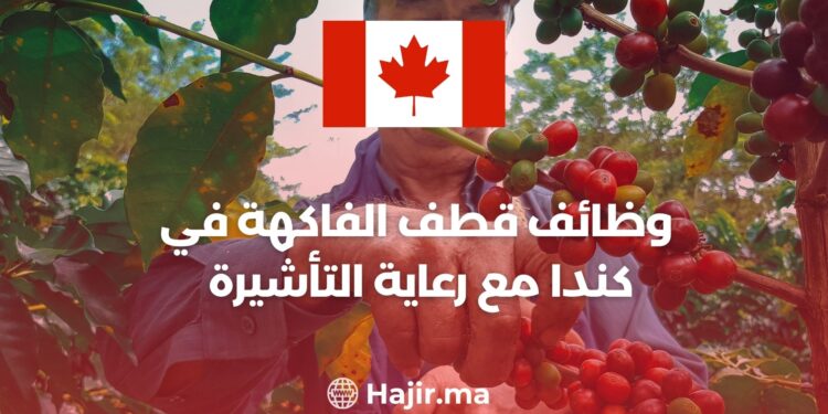 Fruit Picking Jobs in Canada With Visa Sponsorship 2023