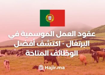 Seasonal Work Contracts in Portugal – Explore the Best Available Jobs