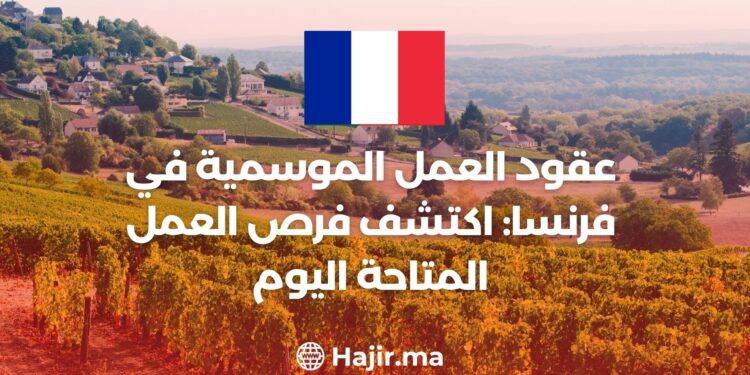 Seasonal Employment Contracts in France: Explore Available Job Opportunities Today