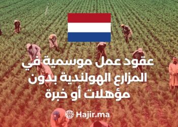 Seasonal Work Contracts on Dutch Farms Without Qualifications or Experience