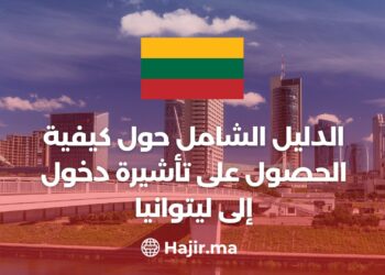Comprehensive Guide on How to Obtain a Visa for Lithuania
