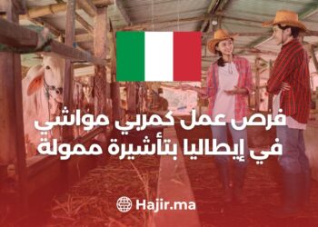 A Job Opportunity as a Livestock Breeder in Italy With a Funded Visa