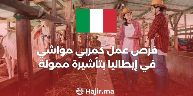 A Job Opportunity as a Livestock Breeder in Italy With a Funded Visa