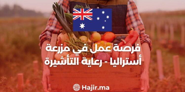 Job Opportunity in Australia Farm Hand -Visa Sponsorship