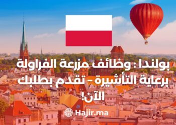 Best Deal in Poland: Strawberry Farm Jobs with Visa Sponsorship – Apply Now!