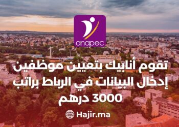 ANAPIC is Hiring Data Entry Operators in Rabat With a Salary of 3,000 dh