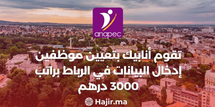 ANAPIC is Hiring Data Entry Operators in Rabat With a Salary of 3,000 dh
