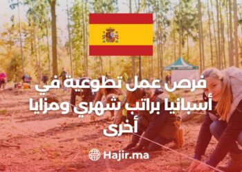 Volunteering in Spain: Free Tickets, Monthly Salary, and Accommodation