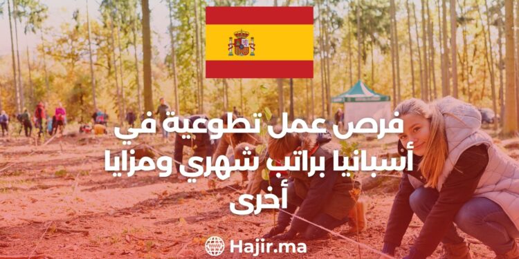 Volunteering in Spain: Free Tickets, Monthly Salary, and Accommodation