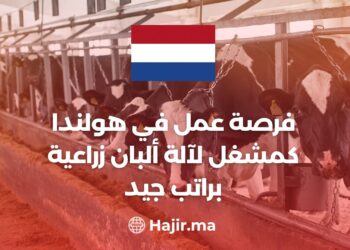 Job Opportunity In The Netherlands As An Agricultural Dairy Machine Operator With a Good Salary