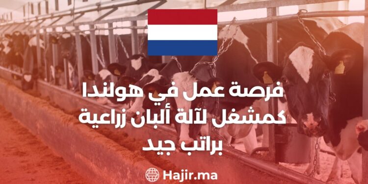 Job Opportunity In The Netherlands As An Agricultural Dairy Machine Operator With a Good Salary