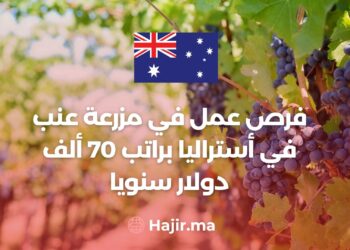 Job Opportunities on a Vineyard in Australia With a Salary of $70,000 Annually