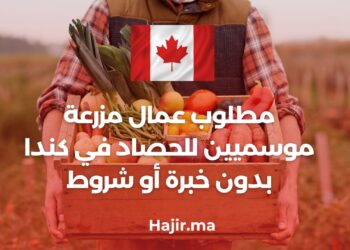Seasonal farm workers needed for harvest in Canada without experience or conditions